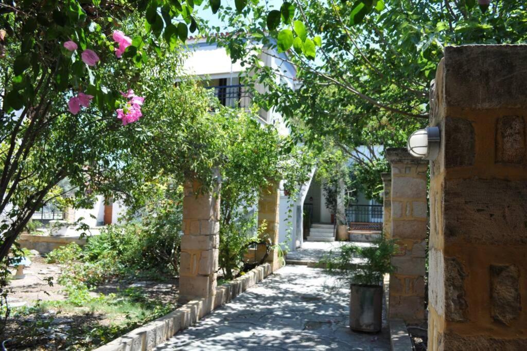 Κέντρο Αίγινα Ήσυχη Κατοικία90Τμ Δίπλα Στη Θάλασσα Eksteriør billede